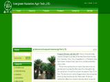 Evergreen Nurseries Agri-Tech Fujian landscaping plastic