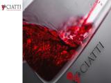 Ciatti Company company