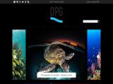 Underwater Photography & Video; Divephotoguide.Com galleries