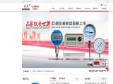 Hongqi Instrument China Pressure Gauge Supplier supplier