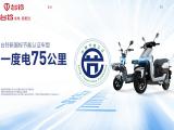 Dongguan Tailing Electric Vehicle luxury