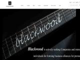 Blackwood Technology bass guitar music
