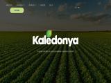 Kaledonya Ltd.: Profile syrups