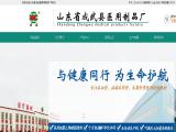 Shandong Chengwu Medical Products lancet