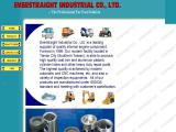Everstraight Industrial automotive