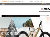 Dengfu Sports Equipment bicycle spokes
