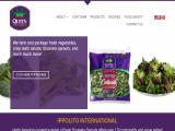 Ippolito International cabbage