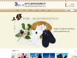 Shangyu Donglin Knitting womens fashion footwear