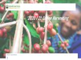 Yirgacheffe Coffee Farmers Cooperative Union organic