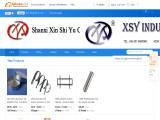 Shanxi Xin Shi Yu Commercial and Trade iron investment