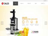 Foshan Gales Electrical Appliance cooking appliance