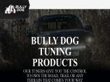 Bully Dog Technologies dog