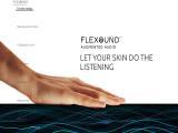 Flexound Systems Oy system