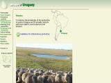 Wools Of Uruguay information