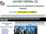 Ace Pest Control-Index ant