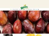 Home - Nevada Argentina | Quality in Dried Fruits work