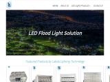 Shenzhen Lsleds technology solar led motion light