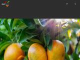 Fruitone Pty lemons