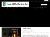 Fuzhou Colshine Electric plug