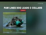 Dog Leads - Leather Alter nylon dog