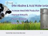 Ehm Group Ltd 27a alkaline
