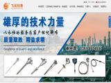 Shanghai Feilong Meters & Electronics thermometer