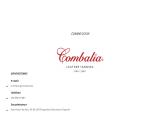 Combalia S.A. footwear bags