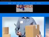 Welcome to GoDelEx Logistics package shipping service