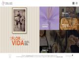 Verdu Canto Saffron Spain, Una Empresa En La Flor zapatos para mujer