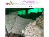 Huy Nguyen Internation Import Export incense