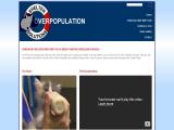 Animal/Pet Shelter Overpopulation Solutions - Saving Homeless pet dog carriers