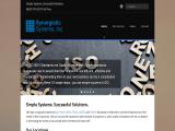 Synergistic Systems - Simple Systems. Successful Solutions template