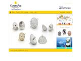 Goldenage International Ltd gold earring set