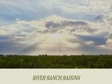 River Ranch Raisins, Inc farm table
