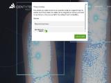Identytech Solutions usa florida cctv surveillance