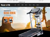 Zhejiang Tianxin Sports Equipment stepper
