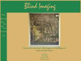 Blindimaging.Com, Home P blinds skylight