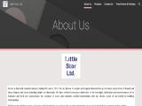Little Star Limited diamond watches women
