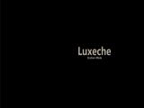 Luxecheinc leather handbag
