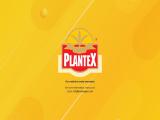 Plantex Agro Products - P anqiu ginger