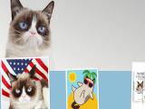 Grumpy Cat animation masha