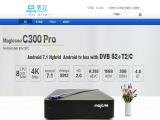 Shenzhen Magicsee Technology 1080p video camera