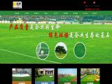 Renqiu Wangli Plastic Grass soccer