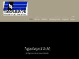 Toggenburger & Ag metallised polyester