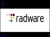 Radware 4ch security kit