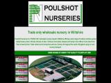 Poulshot Nurseries.Wiltsh thyme plants