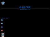 Blue Chip Medical Products 100ah gel