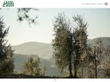 Azienda Olearia Del Chianti Srl: Profile kalamata olive