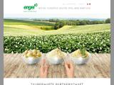 Engel Food Solutions kaju corn flakes