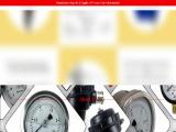 Japsin Instrumentation absolute pressure gauge
